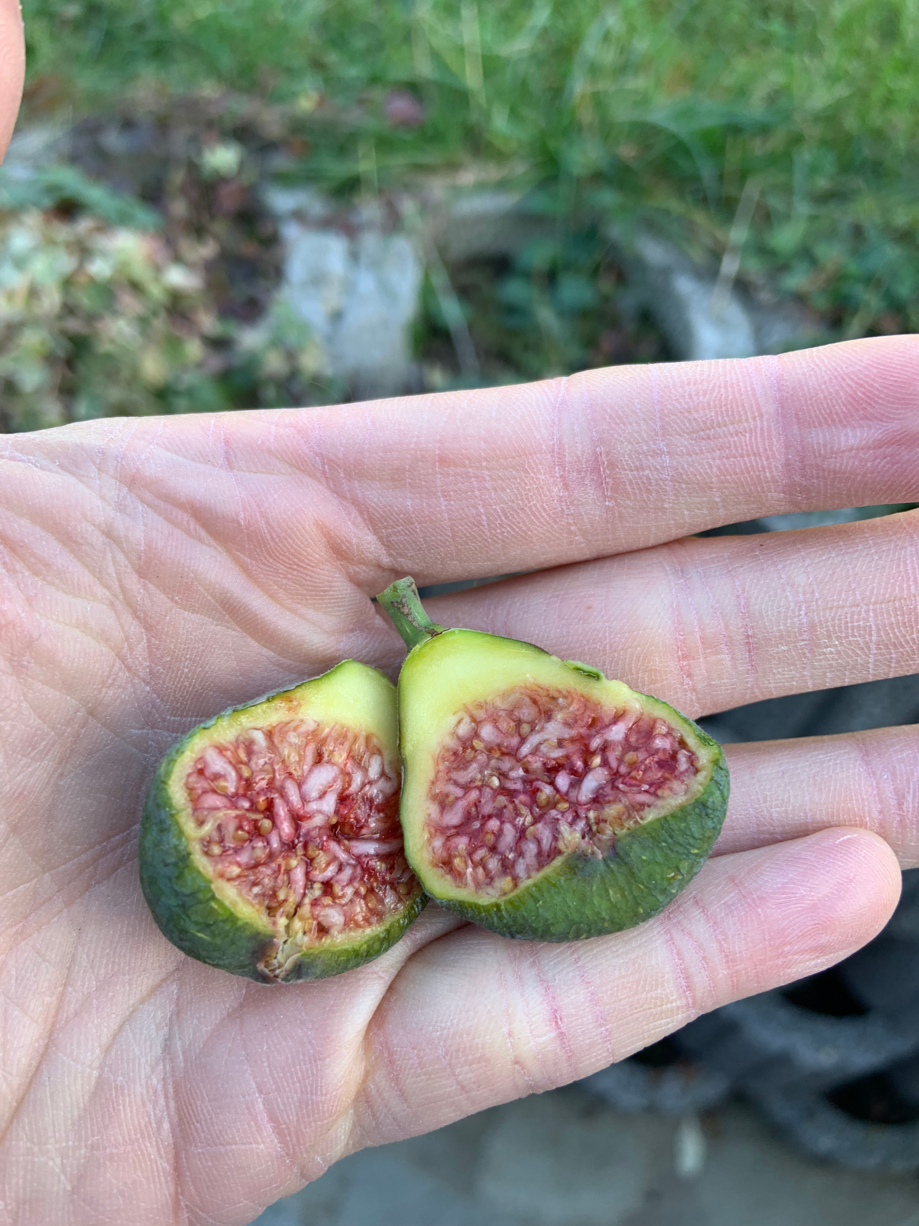 Hardy Chicago - 2 řízky na objednávku