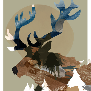 Digital Illustration