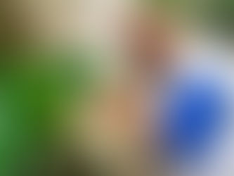 Vigilância em Saúde intensifica ações de combate ao Aedes aegypti