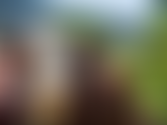 Pequenos produtores devem se cadastrar na Agroeconomia para vacinação em bovinos