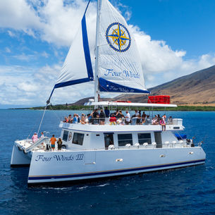 Four Winds III 55' Morrelli and Melvin Catamaran