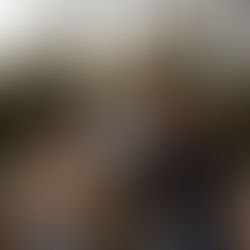 Update vom 21.12.2024