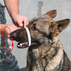 Miniatura: Muselière physiologique K-9 pour berger allemand