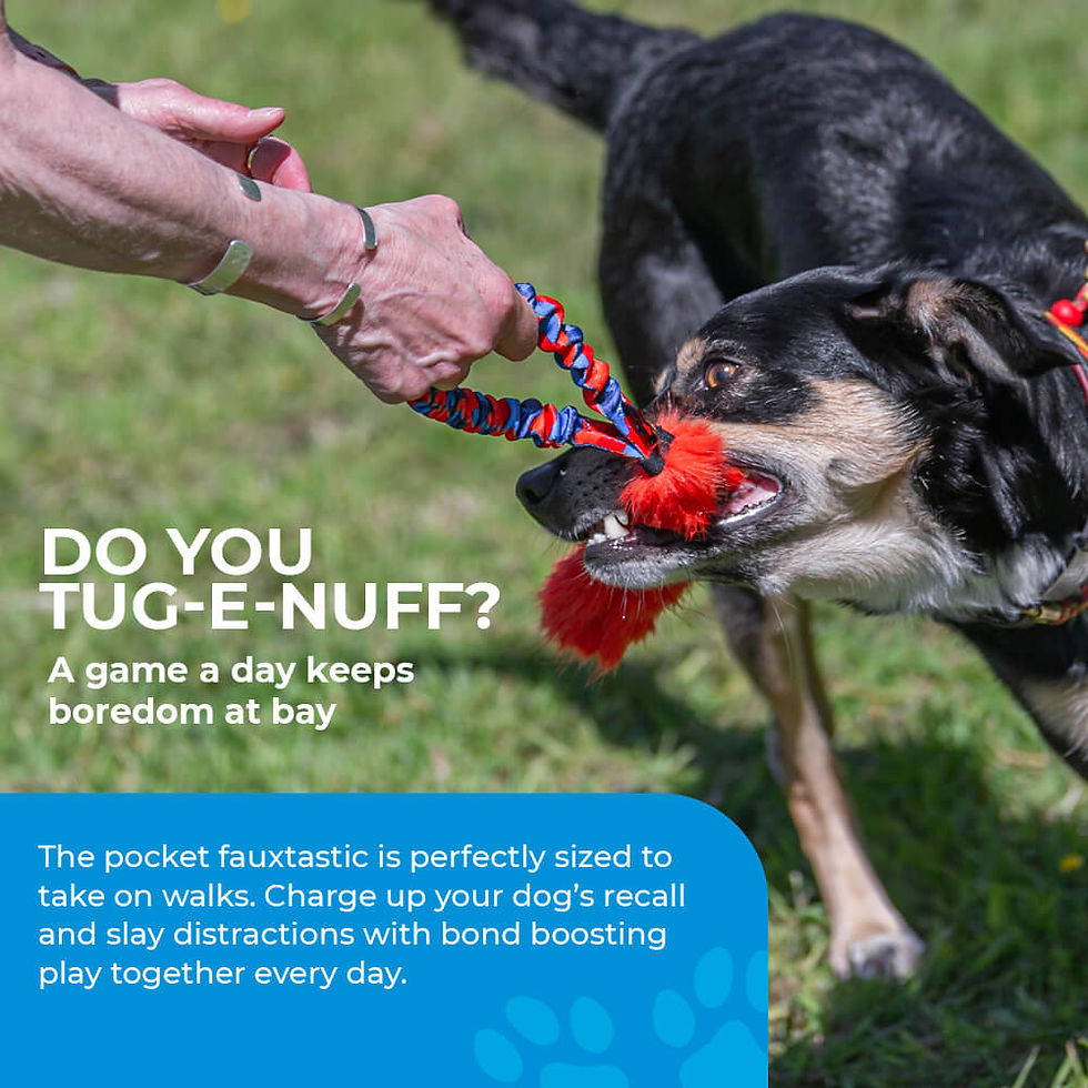 Miniature : Pocket Fauxtastic