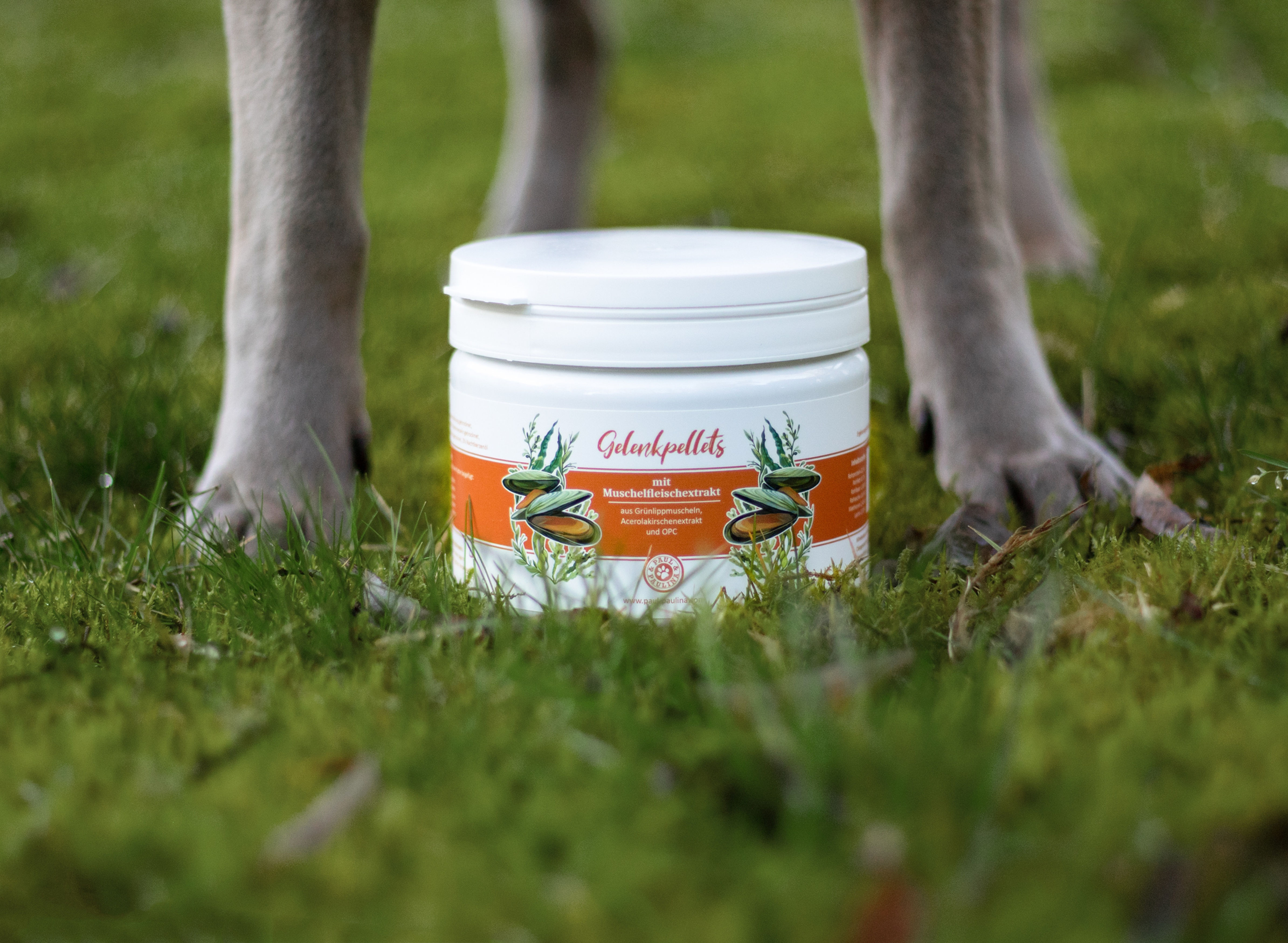 Granulés pour articulation avec OPC