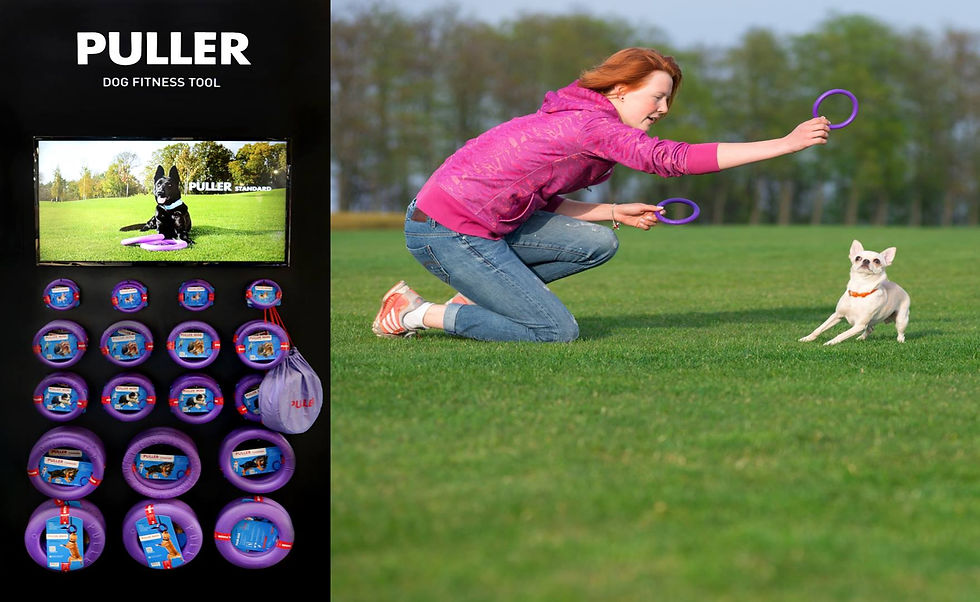 Thumbnail: Puller Dog Training ( lot de 2 anneaux )