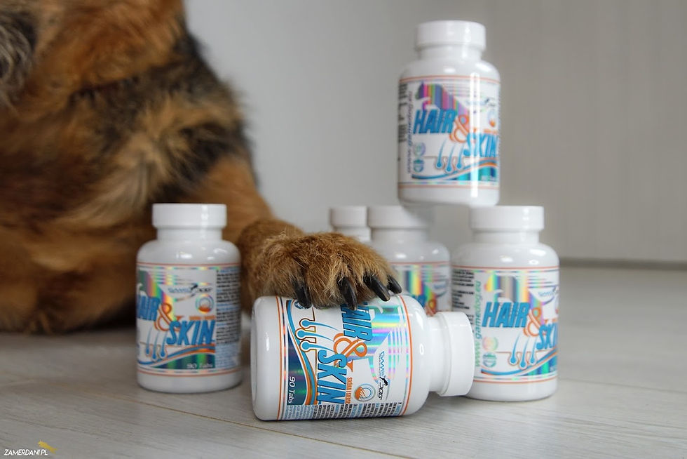 Miniature : Hair and Skin Soutien alimentaire pour la peau et les poils