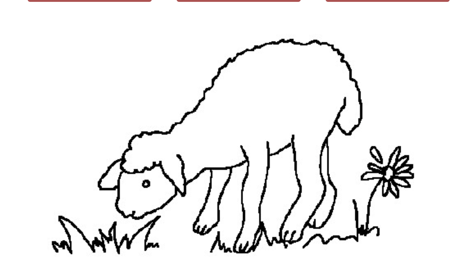 Menu complet à l'agneau en 10 x 1 kg