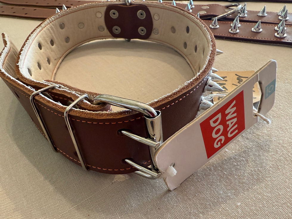 Miniaturbild: Collier en cuir naturel avec pointes décoratives