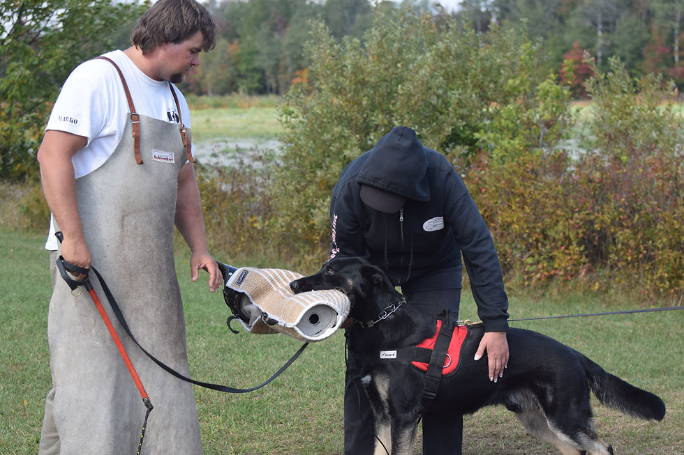 الصورة المصغرة: Tablier en cuir pour homme assistant.