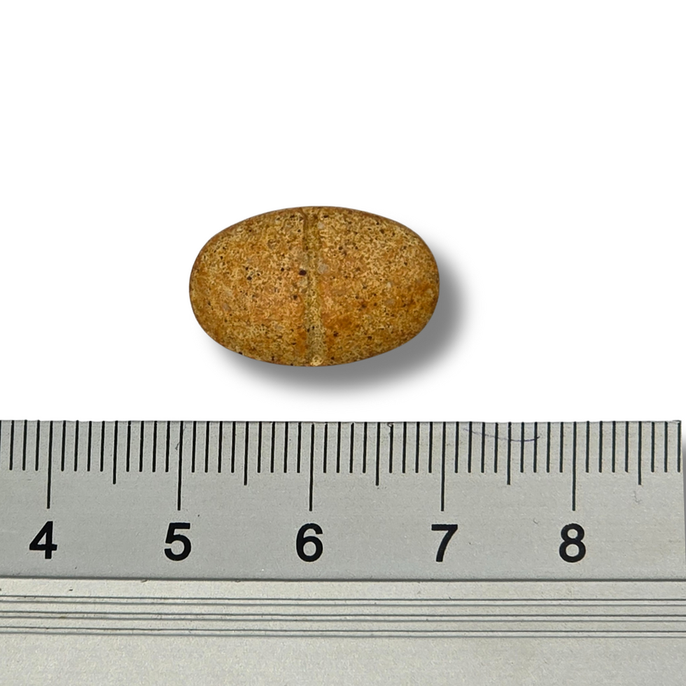 Miniatura: Prostate Protect