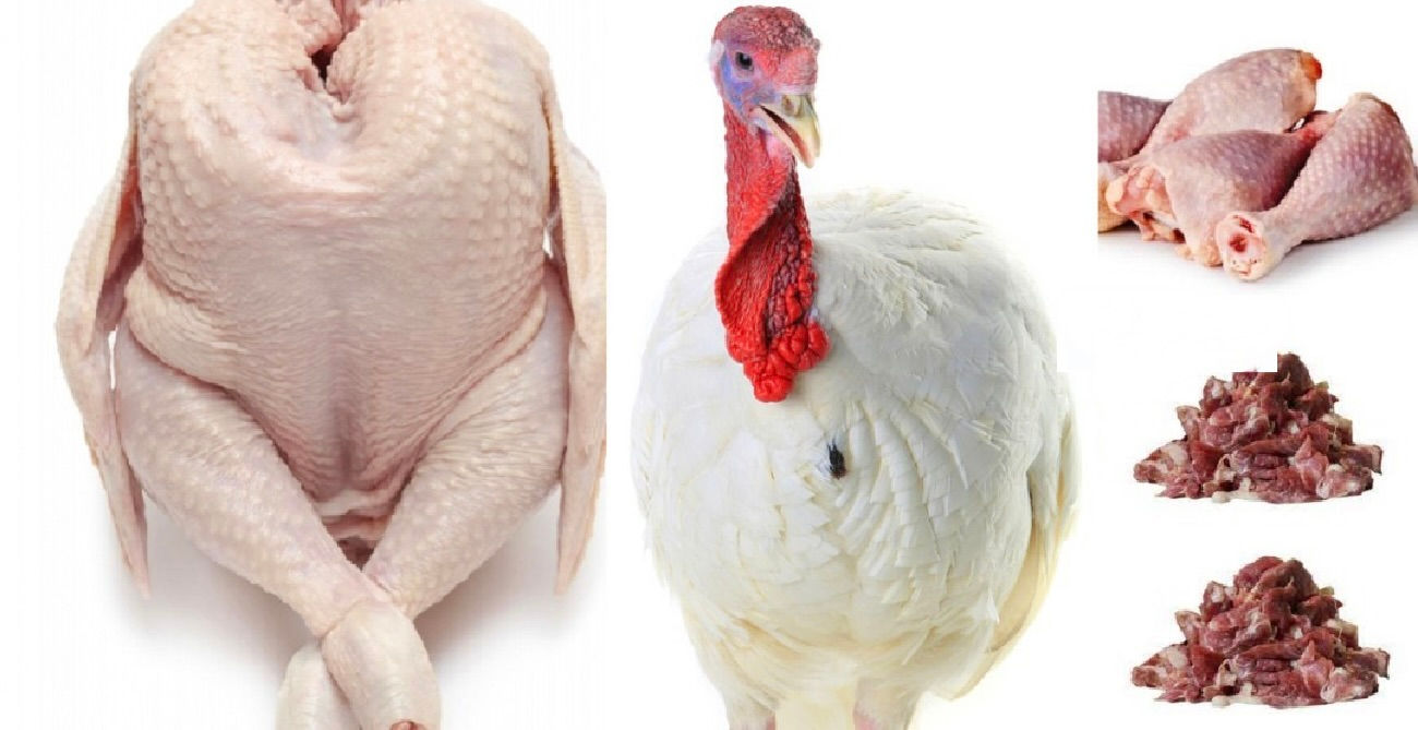 Menu complet à la Dinde en 10 x 1 kg