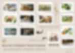 Thumbnail: GARDEN INSECTS-wildschool