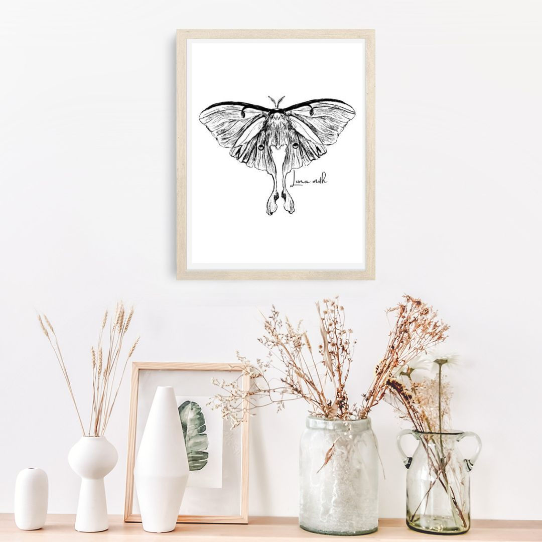 3x insect sketch posters NATURE SCHOOL