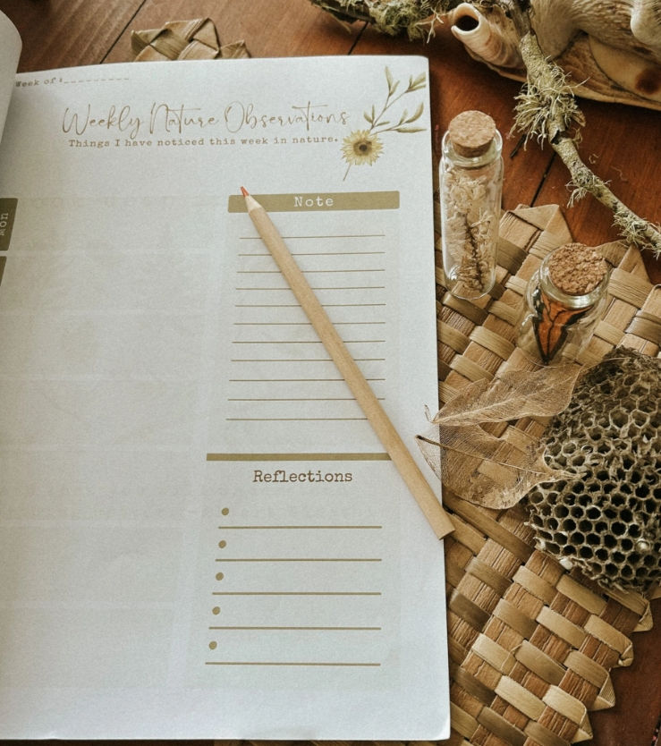 Thumbnail: kids nature journal with commercial use PLR AND MRR-editable