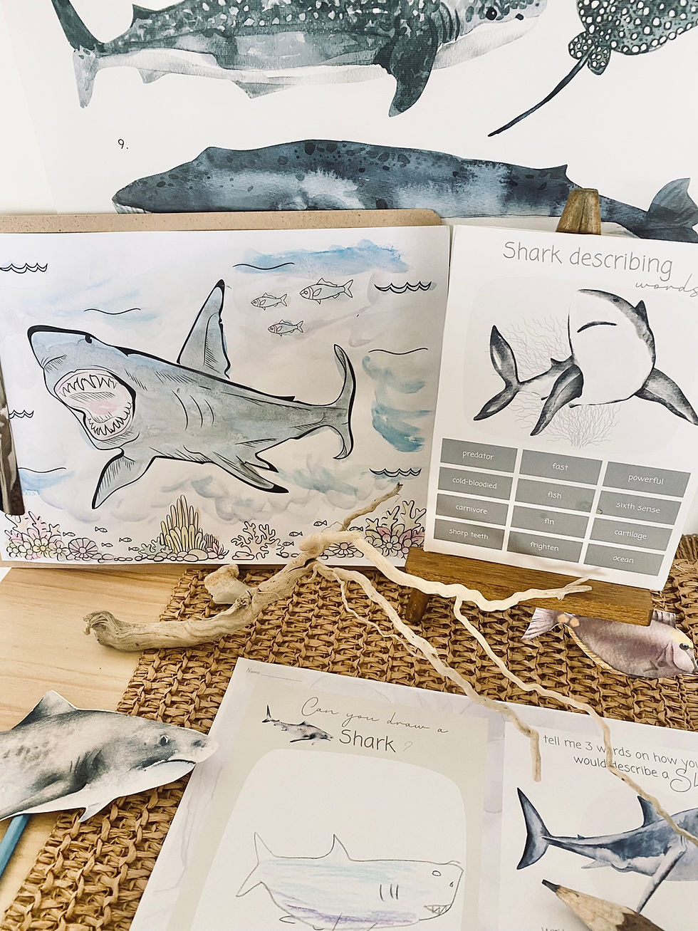 Thumbnail: SHARK PACK