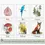 תמונה ממוזערת: 11x nature colour 3-part cards- COMMERCIAL USE-plr/MRR