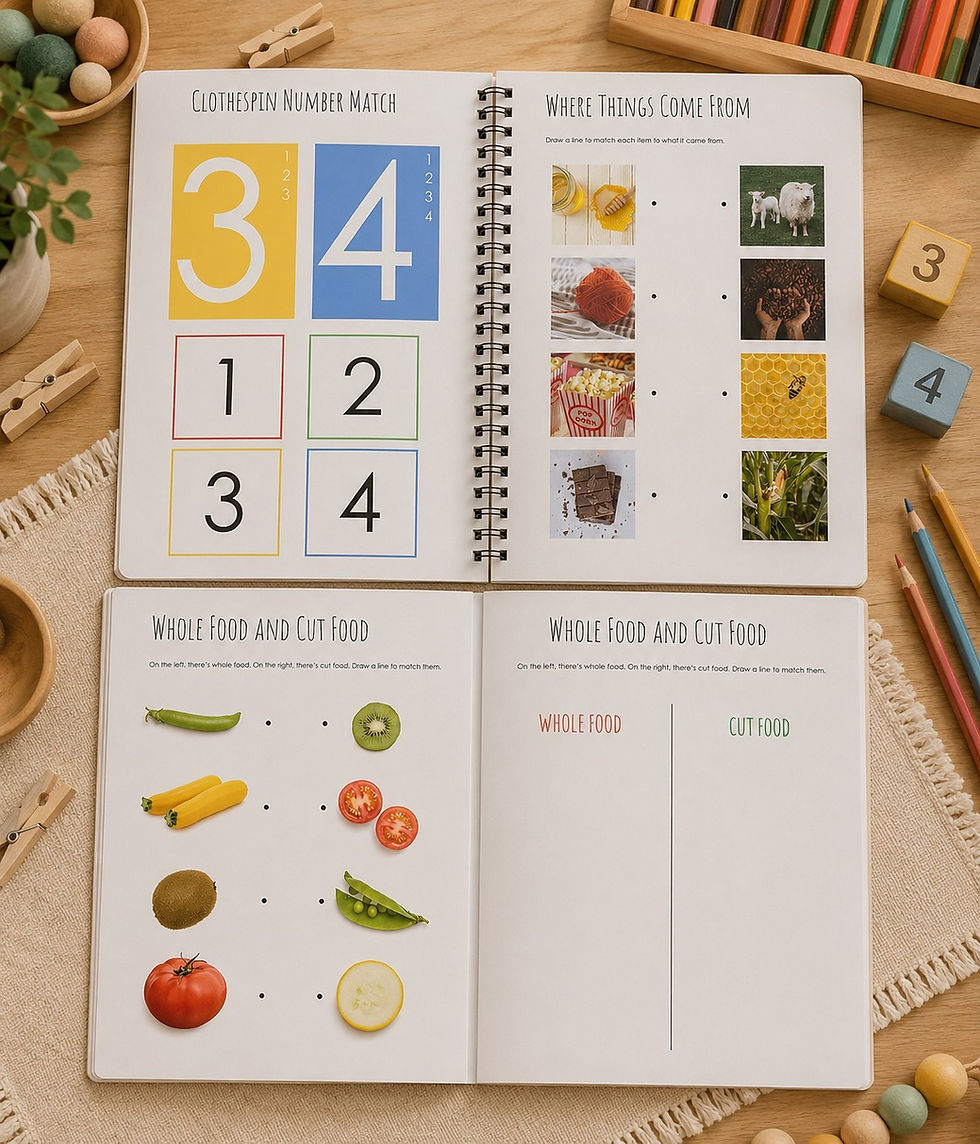 थंबनेल: Montessori Inspired early learning activity worksheet+ flashcard pack