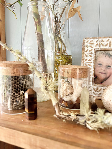 Untamed Learning Barefootchild