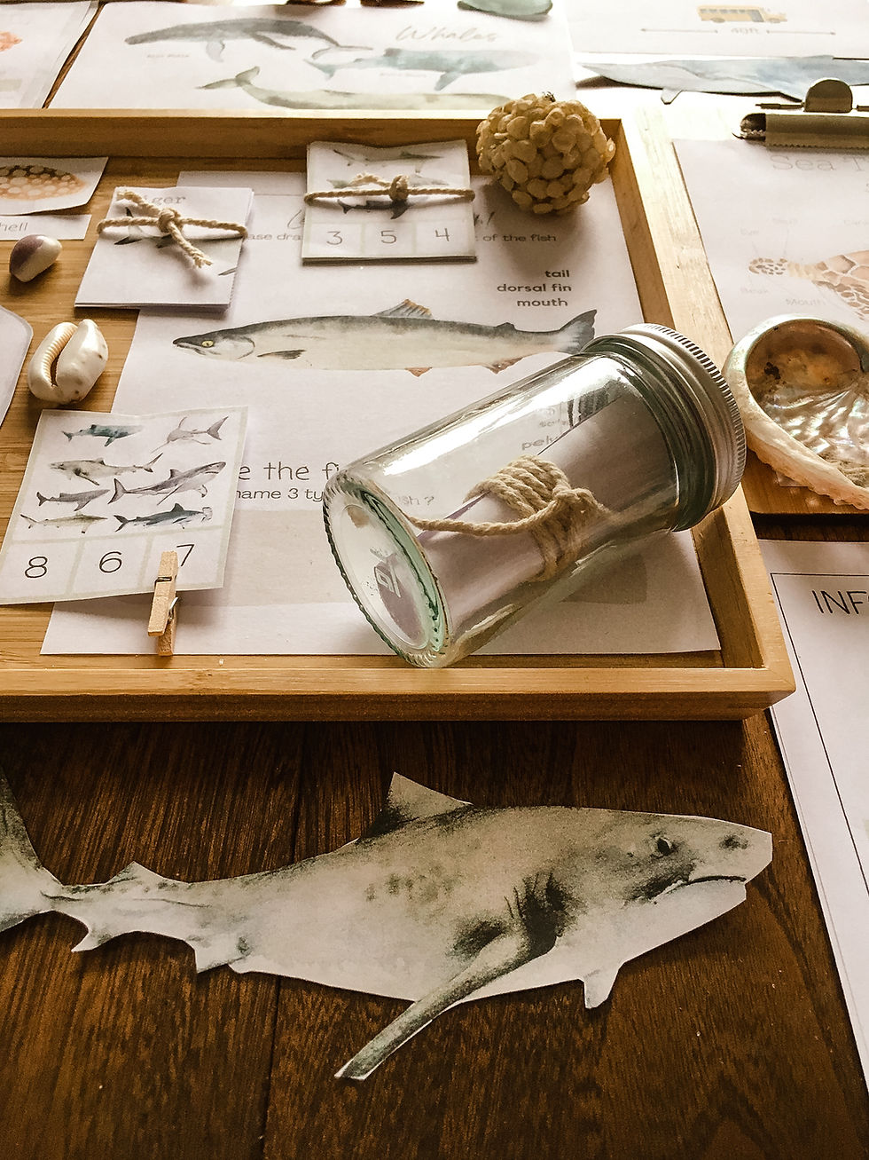 Miniature : OCEAN ANIMAL- mega bundle