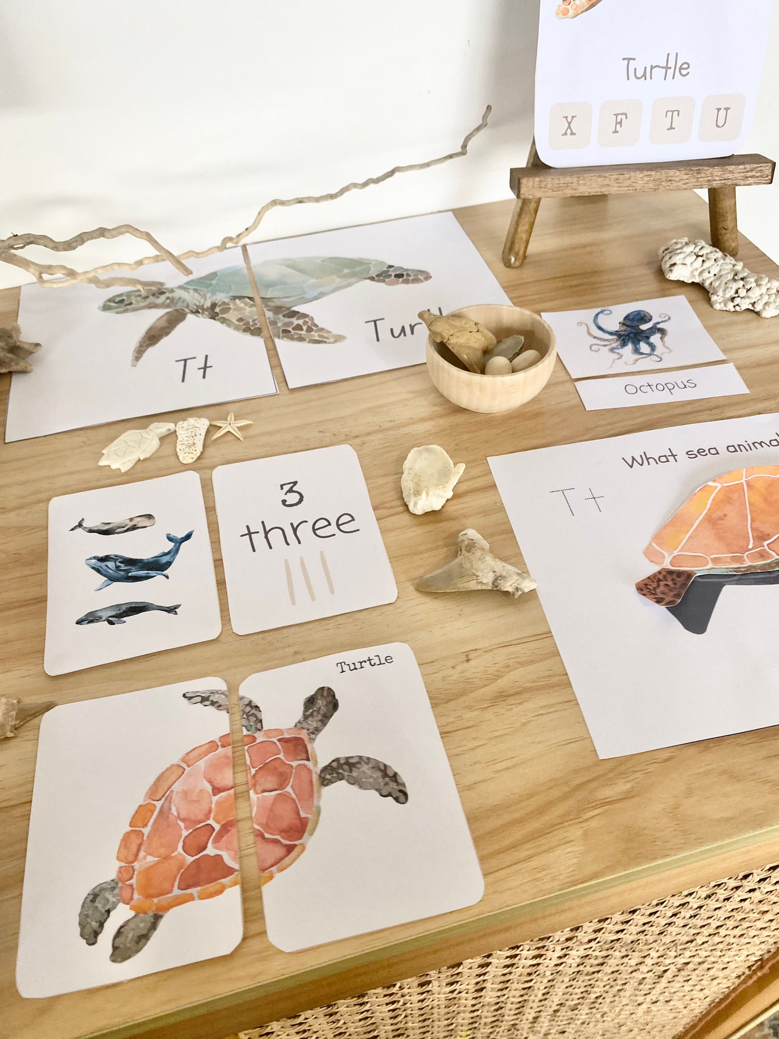 ocean animal morning basket