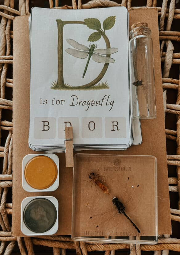 Thumbnail: Wild & Rooted- ALPHABET learning pack + bonus holistic teaching idea planner