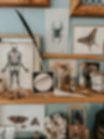 Thumbnail: DARK Nature inspired vintage decor posters - WILDSCHOOL