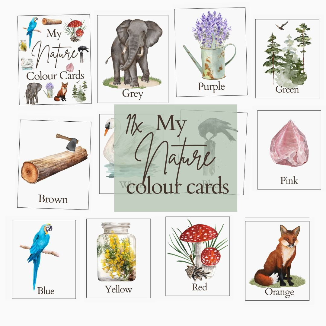 My mini nature colour 3-part flashcards