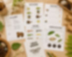 Miniatura: Early learning workbook - 100pages