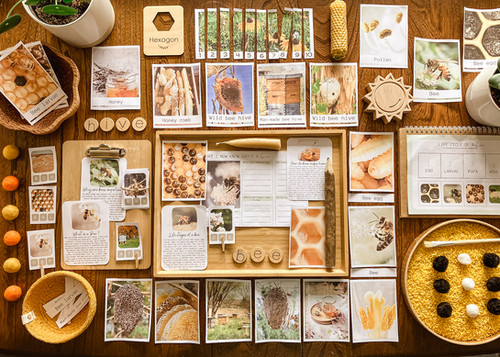 Wild School Barefootchild