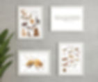 Thumbnail: 6x nature classroom posters