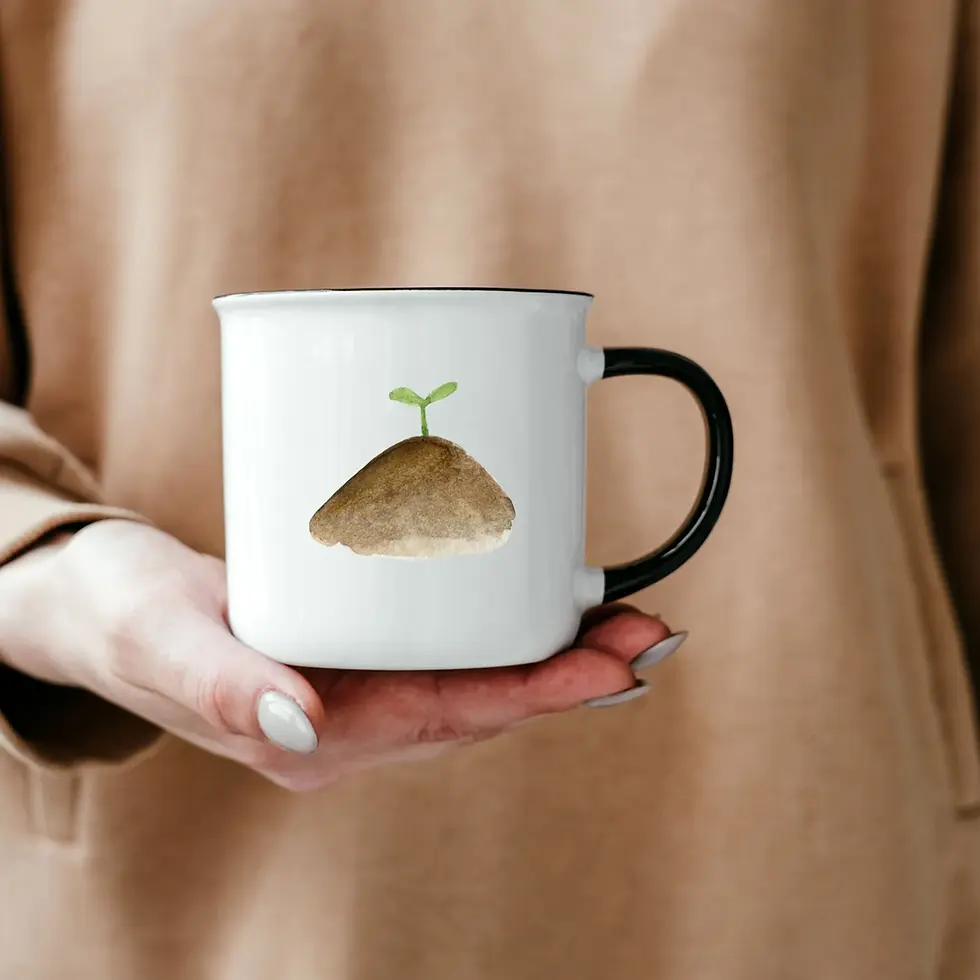 縮圖：sunflower lifecycle clipart PLR MRR