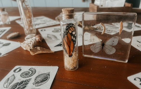 Miniatura: curiosity numbers 1-10 flashcards+ bunting