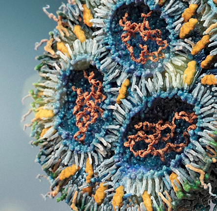 Screenshot 2024-09-24 at 18-06-41 mRNA-LNP research.png