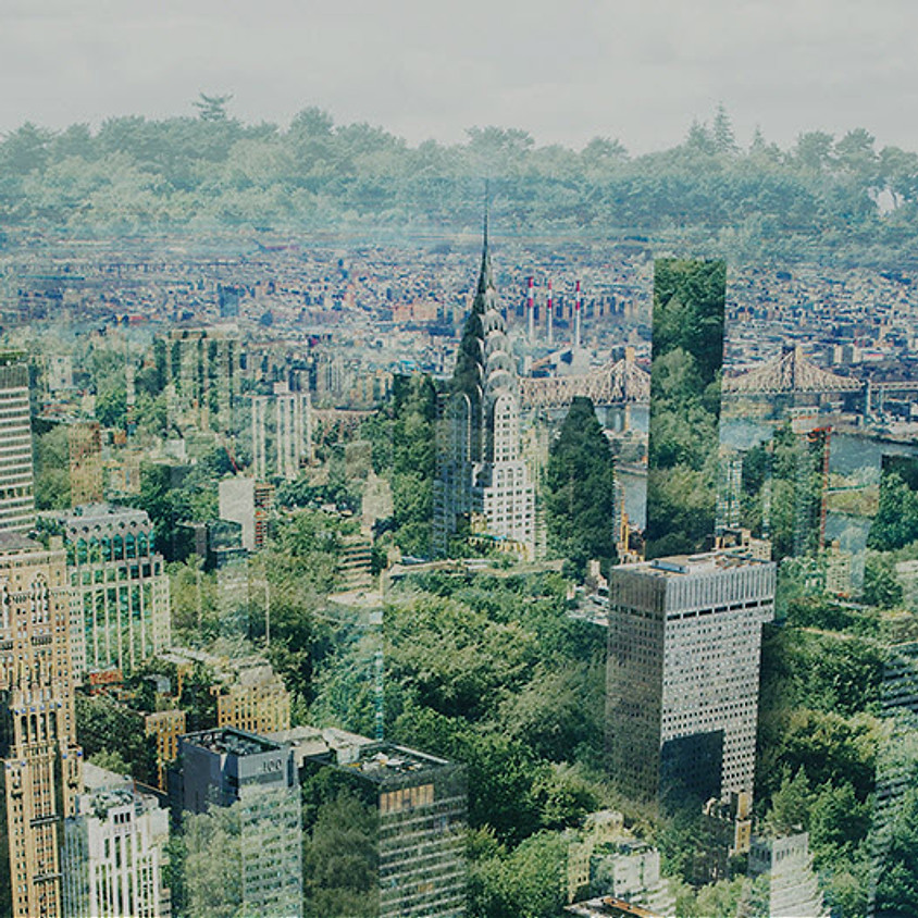 AIAU: Embodied Carbon 101