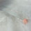 Miniature : Collier fleur saumon 