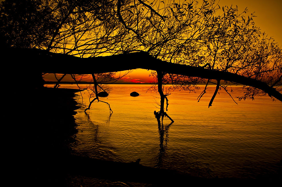 DSC_0135_5.jpg