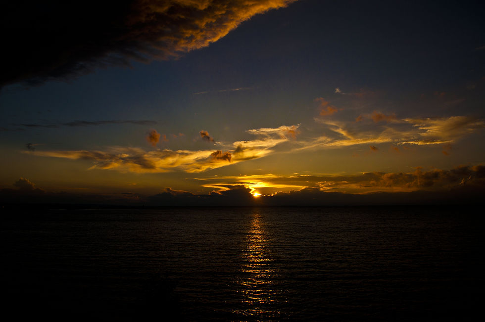 DSC_0001.jpg