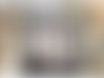 Custom interior shade and privacy covers