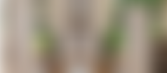 Must Watch! SHAADS® Door Cover Customer Review | Benefits for Privacy and No Door Replacement