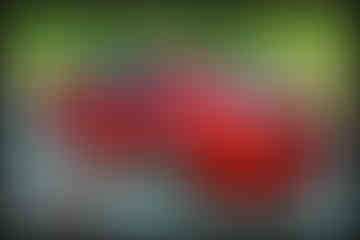 Red Jaguar XF-R photo from driver side rear