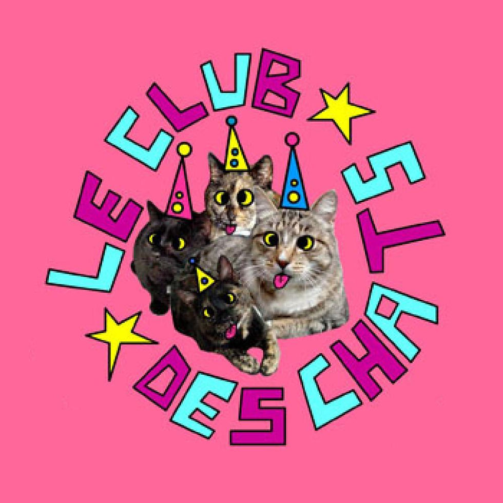 YOUKI PARTY WOO ! Par Le Club Des Chats