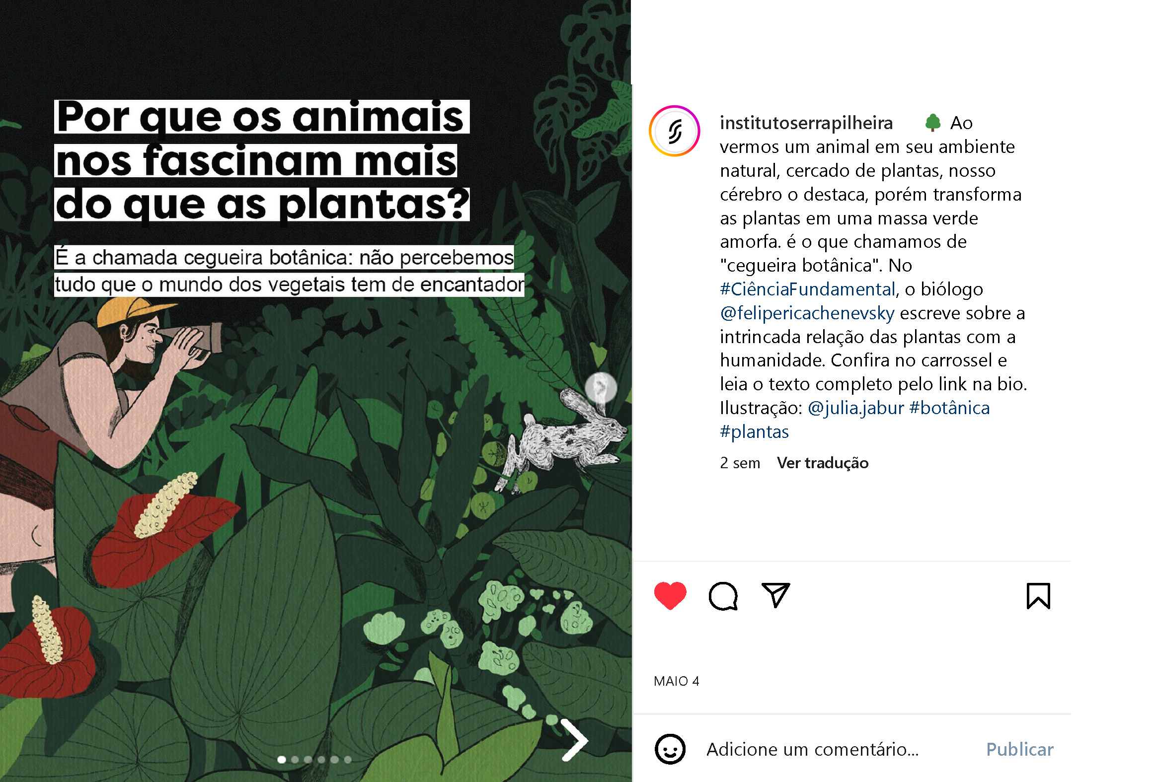 cegueira botanica - instagram.jpg