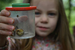 Under Fives Forest School with The World Outside