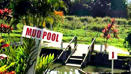 Sabeto Mud pool Tour