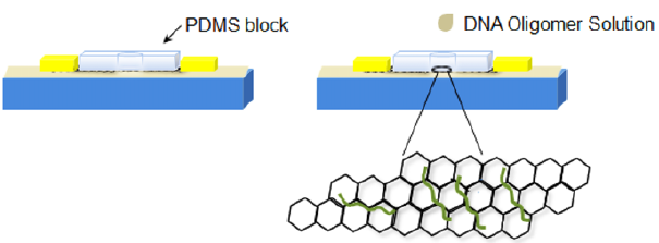 2018. Gwang Mo Ku, Jin Woo Kim, Yoon-ha Jang, Seunghyun Kim, Kwang-il Lim, and Wi Hyoung Lee*. "