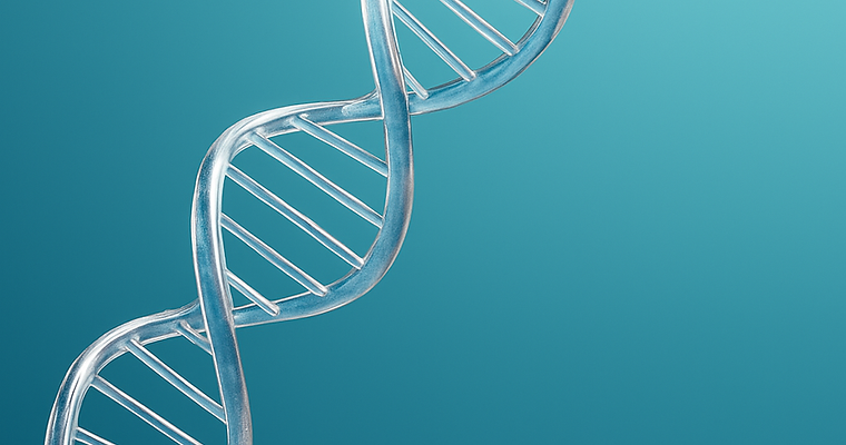 Double stranded DNA