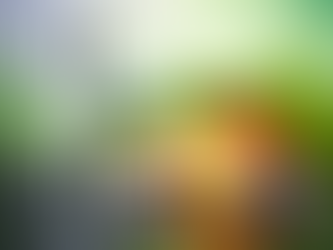 L'alimentation, responsable de 80% de votre réussite!