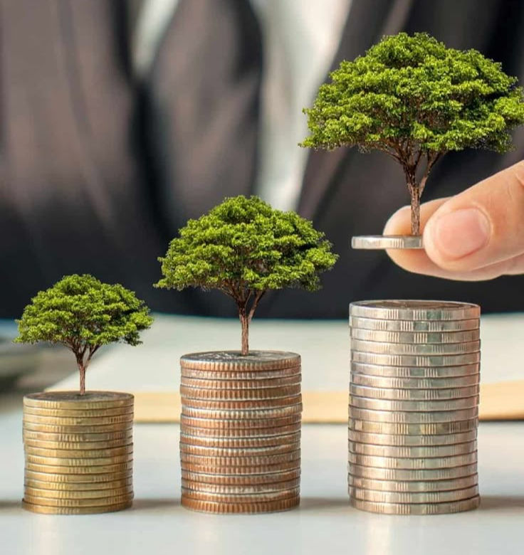 "A business professional in a suit places a coin on a stack of growing coins, each supporting a small tree. This symbolizes financial growth, investment, and sustainable business success."