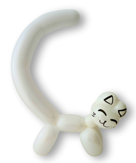 12.png